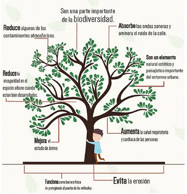 BUTA (2) Beneficios de Un Bosque Urbano